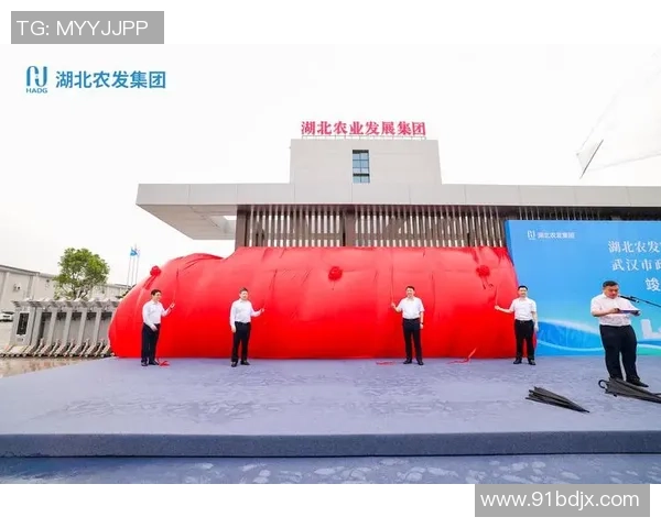 武汉羽毛球队技术对比深度解析及未来发展趋势探讨